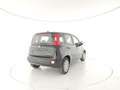 Fiat Panda 1.0 FireFly S&S Hybrid +Vernice + kit 5 posti + P Nero - thumbnail 6