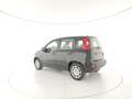 Fiat Panda 1.0 FireFly S&S Hybrid +Vernice + kit 5 posti + P Nero - thumbnail 3