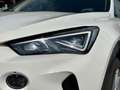 CUPRA Formentor 1.4 e-HYBRID 150kW DSG, SHZ, FULL LINK Weiß - thumbnail 4