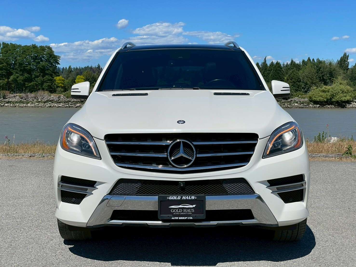 2015 Mercedes-Benz M-Class ML350 Full Service records | Well maintained — photo 1