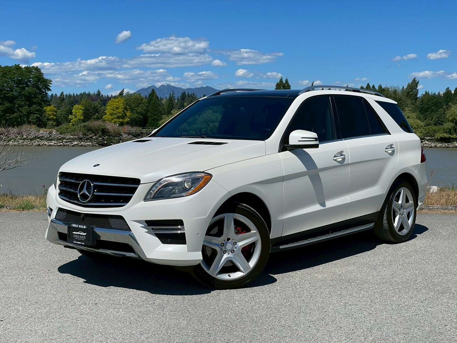 2015 Mercedes-Benz M-Class ML350 Full Service records | Well maintained