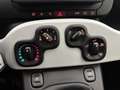 Fiat Panda 1.0 Hybrid Pandina | Cruise Control | Airco | Touc Zwart - thumbnail 18