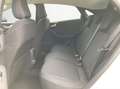 Ford Puma 1,0 EcoBoost Hybrid Titanium Aut. Weiß - thumbnail 11