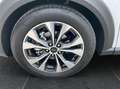 Ford Puma 1,0 EcoBoost Hybrid Titanium Aut. Weiß - thumbnail 16
