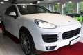 Porsche Cayenne S Diesel Weiß - thumbnail 4