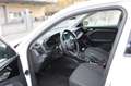 Audi A1 citycarver 25 TFSI Virtual Cockpit Sport Weiß - thumbnail 12