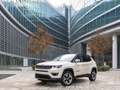 Jeep Compass 1.4 MultiAir 2WD Longitude METANO Silber - thumbnail 1