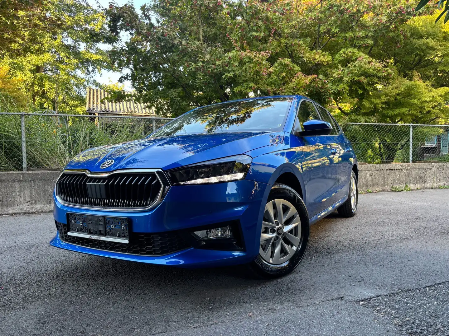 Skoda Fabia Selection 1,0 TSI / 8 fach bereift Blau - 2