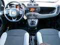 Fiat Panda Panda III 1.0 firefly hybrid City Life s Gris - thumbnail 9