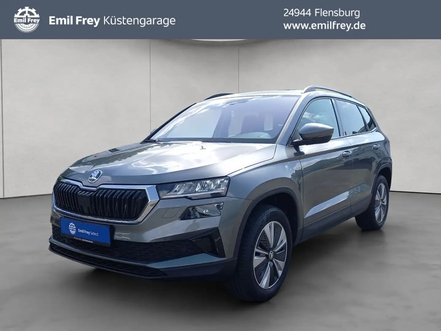 Skoda Karoq 2.0 TDI SCR 4x4 -Ambition- DSG LED/ Navi Grijs - 1