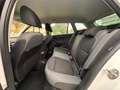 Skoda Fabia Combi Last Edition*DAB*Regensensor*Sitzhzg*1. Hand Weiß - thumbnail 9