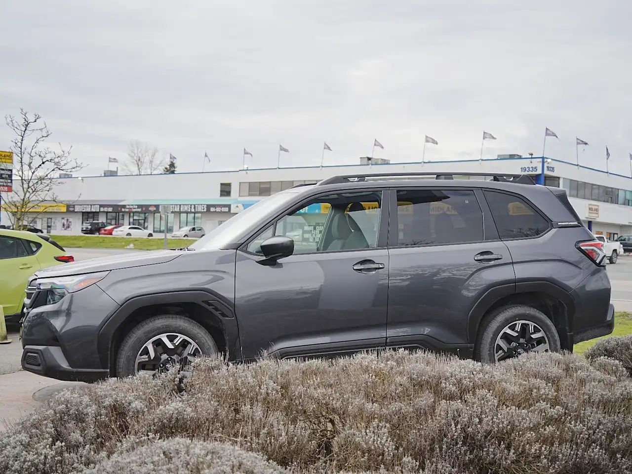 Subaru Forester снимка Subaru Forester