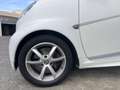 smart forTwo 1.0 mhd Passion 71cv Wit - thumbnail 18