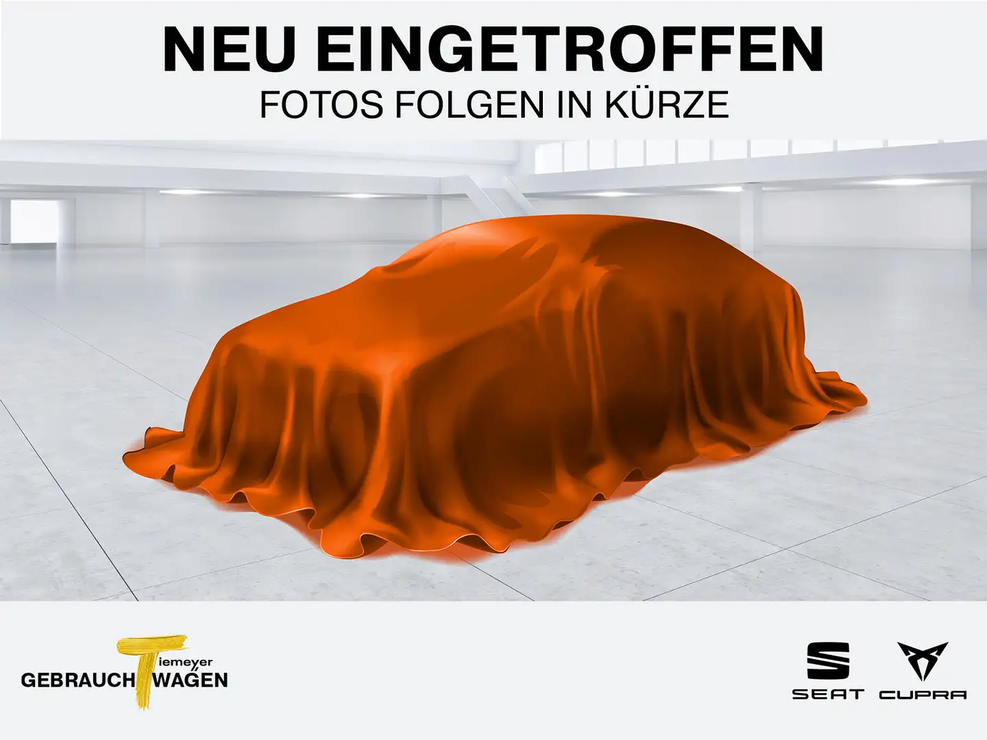 CUPRA Formentor 1.5 TSI DSG LM19 DCC AHK KAMERA Grau - 1