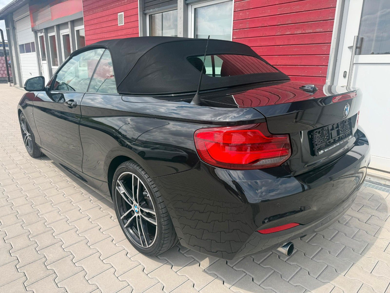BMW 218 2 Cabrio 218 i M Sport*M-PAKET*LEDER*H&K*NAVI — photo 6