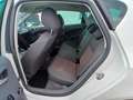SEAT Ibiza Ibiza 1,2 *Voll Fahrbereit* Weiß - thumbnail 12