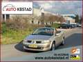 Renault Megane Coupé-Cabriolet 1.6-16V CABRIOLET AUTOMAAT LEDER/N Beige - thumbnail 1