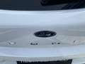 Ford Puma 1.0 EcoBoost Hybrid Titanium | 155PK | Garantie to Wit - thumbnail 5