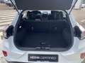 Ford Puma 1.0 EcoBoost Hybrid Titanium | 155PK | Garantie to Wit - thumbnail 20