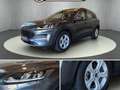 Ford Kuga 1,5 EcoBoost Cool  Connect Gris - thumbnail 2