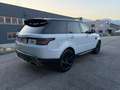 Land Rover Range Rover Sport Range Rover 3.0 sdV6 HSE 249cv my19 IVA ESPOSTA Bianco - thumbnail 5
