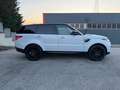 Land Rover Range Rover Sport Range Rover 3.0 sdV6 HSE 249cv my19 IVA ESPOSTA Bianco - thumbnail 4