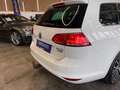 Volkswagen Golf VII Variant Allstar BMT *2. Hand*AHK*Klima* Blanc - thumbnail 9