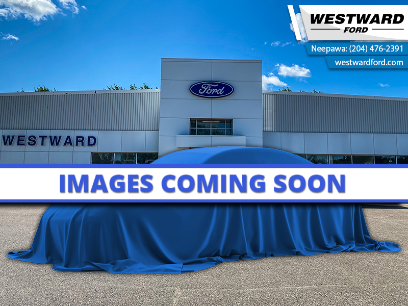 2025 Ford Expedition Platinum Max  - Premium Audio