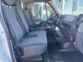 Renault Master III Autotransporter Jotha Alu Blanc - thumbnail 12