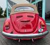 Volkswagen Käfer 1500 restauriert Rood - thumbnail 5