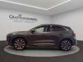 Ford Kuga Plug-In Hybrid Vignale Grau - thumbnail 3
