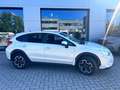 Subaru XV XV 1.6i-S Bi-Fuel Trend Bianco - thumbnail 4