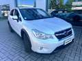 Subaru XV XV 1.6i-S Bi-Fuel Trend Bianco - thumbnail 3