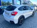 Subaru XV XV 1.6i-S Bi-Fuel Trend Bianco - thumbnail 5