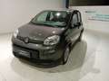 Fiat Panda 1.0 FireFly S&S Hybrid Gris - thumbnail 1