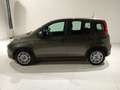 Fiat Panda 1.0 FireFly S&S Hybrid Gris - thumbnail 7