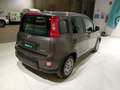 Fiat Panda 1.0 FireFly S&S Hybrid Gris - thumbnail 4