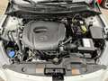 Mazda 2 Mazda2 e-Skyactiv G90 Homura Weiß - thumbnail 19