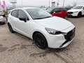 Mazda 2 Mazda2 e-Skyactiv G90 Homura Weiß - thumbnail 3