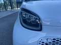 smart forTwo Fortwo eq Passion 22kW Bianco - thumbnail 5