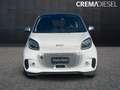 smart forTwo Fortwo eq Passion 22kW Bianco - thumbnail 2