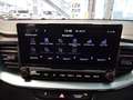 Kia Ceed SW / cee'd SW Navi,Voll-LED,Klimaaut,Kamera Verde - thumbnail 14