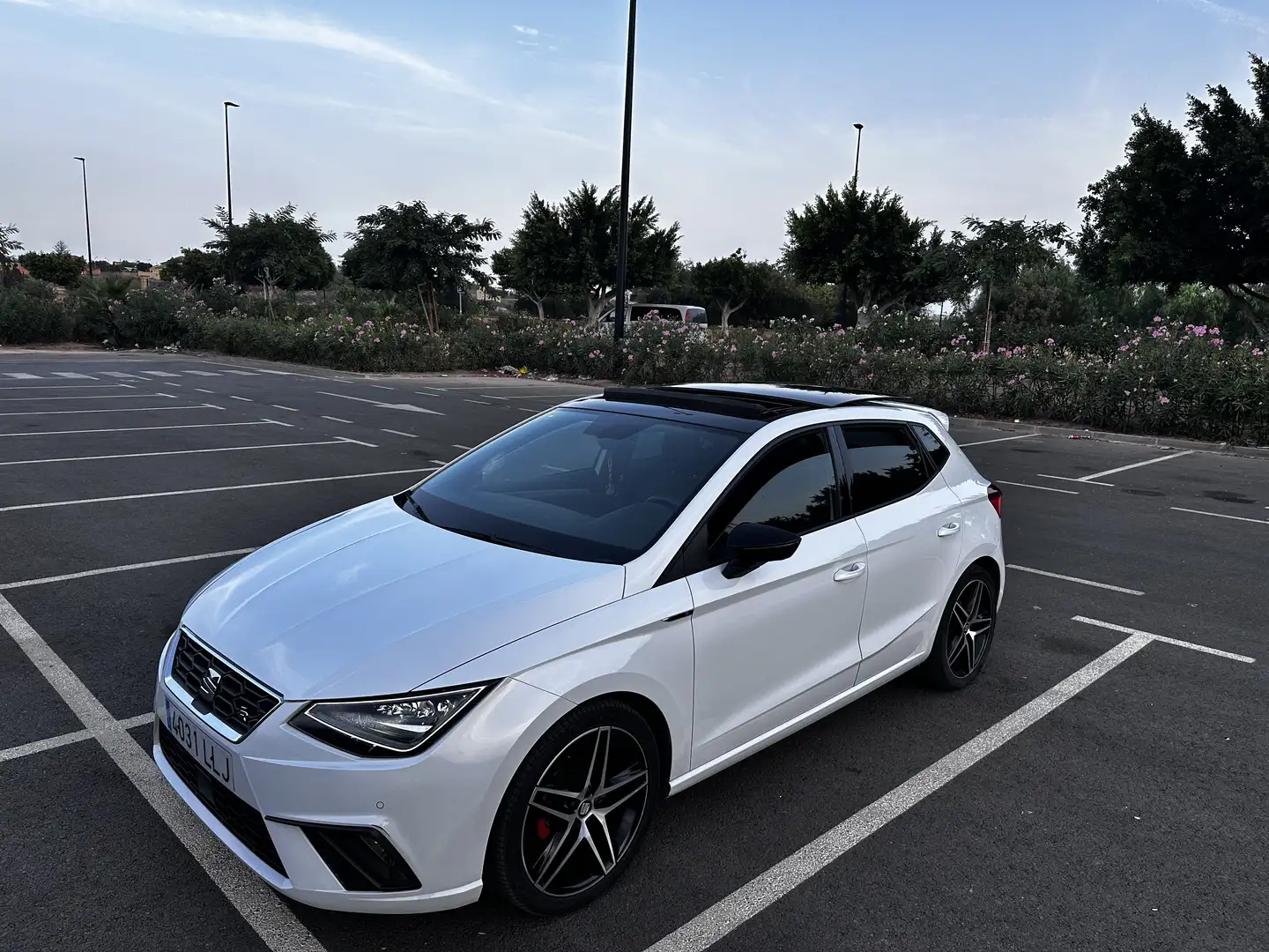 SEAT Ibiza 1.5 TSI S&S FR DSG7 150 - 1