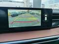 KGM Torres Full Hybrid 204 CV Style - PRONTA CONSEGNA Beige - thumbnail 15