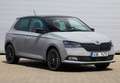 Skoda Fabia 1.0 TSI Ambition 70kW Blanco - thumbnail 32