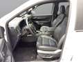 Ford Ranger Doppelkabine Wildtrak e-4WD 2,0 EcoBlue Weiß - thumbnail 12