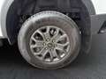 Ford Ranger Doppelkabine Wildtrak e-4WD 2,0 EcoBlue Weiß - thumbnail 23