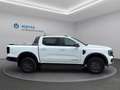 Ford Ranger Doppelkabine Wildtrak e-4WD 2,0 EcoBlue Weiß - thumbnail 5