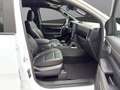 Ford Ranger Doppelkabine Wildtrak e-4WD 2,0 EcoBlue Weiß - thumbnail 18