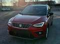 SEAT Arona Arona 1.0 ecotsi Style 115cv dsg Rouge - thumbnail 8